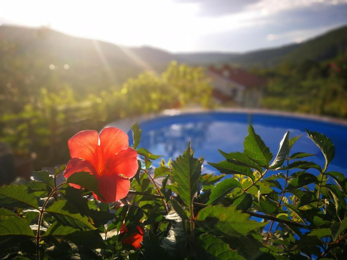 Villa Ceh Gabrovica pri Črnem Kalu Exterior foto